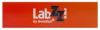 Levenhuk LabZZ C12 Élőlények – előkészített tárgylemez-készlet