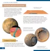 Levenhuk Discovery Scope 2 készlet és könyv