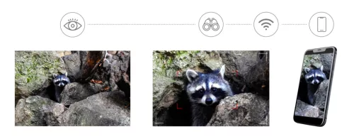 Levenhuk Kelvin Snap ED 8x42 digitális kétszemes fotótávcső