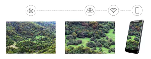 Levenhuk Kelvin Snap ED 8x42 digitális kétszemes fotótávcső