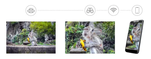 Levenhuk Kelvin Snap ED 8x42 digitális kétszemes fotótávcső