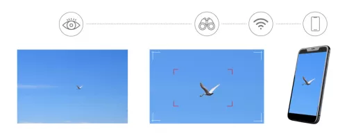 Levenhuk Kelvin Snap ED 8x42 digitális egyszemes fotótávcső