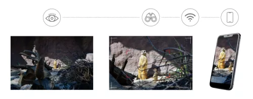 Levenhuk Kelvin Snap ED 8x42 digitális egyszemes fotótávcső