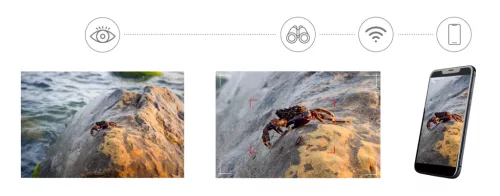 Levenhuk Kelvin Snap ED 8x42 digitális egyszemes fotótávcső