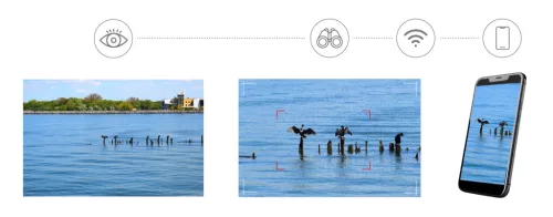 Levenhuk Kelvin Snap ED 8x42 digitális egyszemes fotótávcső