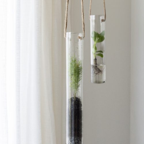 Felakasztható növény gyökereztető váza, 1,1 literes, 78 cm
