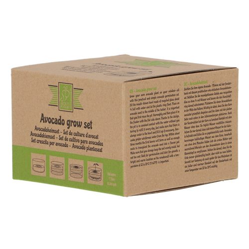 Avokádó csíráztató tál újrahasznosított üvegből