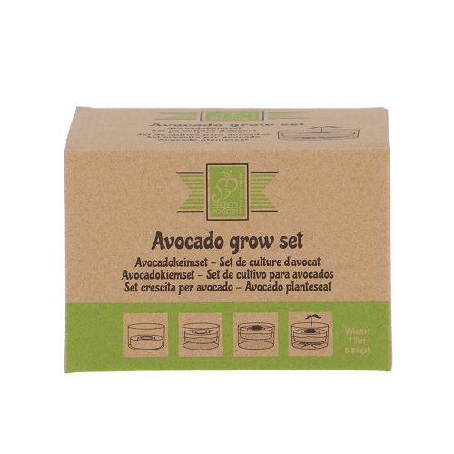 Avokádó csíráztató tál újrahasznosított üvegből