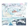 Formadobozos puzzle - Élet a sarkvidéken, 54 db-os - Polar softness
