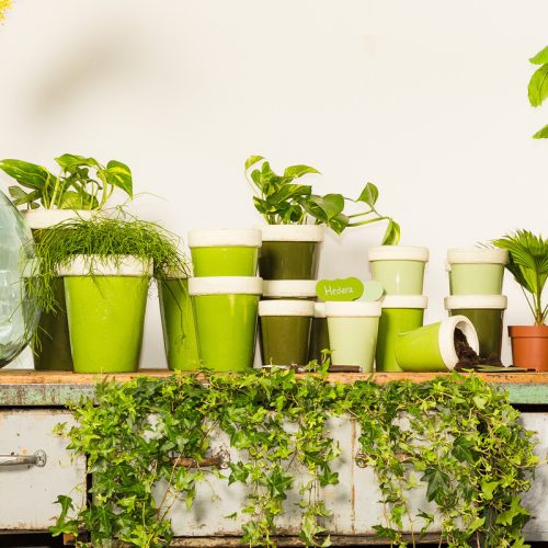 Fém zöld palántajelölő szett, 6 db-os