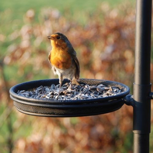Fém leszúrható madáretető állvány, 300 cm