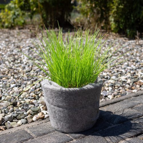 Fagyvédő juta tekercs, natúr, 50 x 150 cm