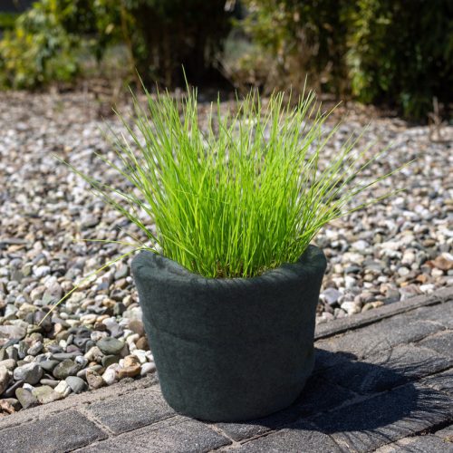 Fagyvédő juta tekercs, zöld, 50 x 150 cm