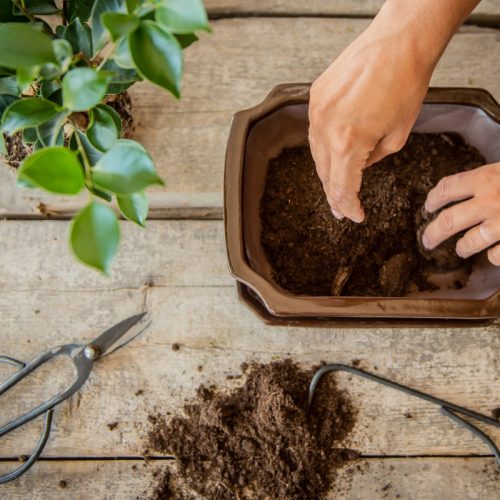 Kerámia bonsai cserép, 26 cm
