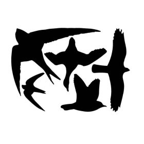   Madárriasztó, madár sziluett ablakmatrica a madarak épségéért