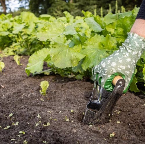 Rozsdamentes acél virághagyma ültető, kőrisfa fogóval, 21 cm