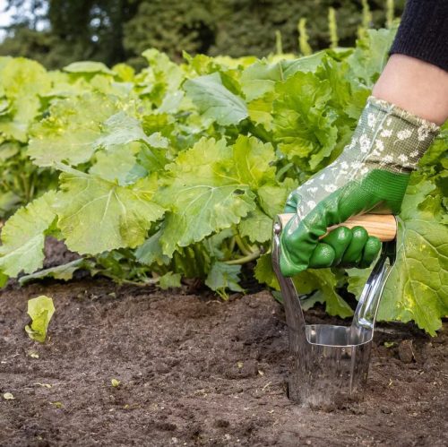 Rozsdamentes acél virághagyma ültető, kőrisfa fogóval, 21 cm