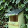Fa madárház vörösbegynek, 33 cm