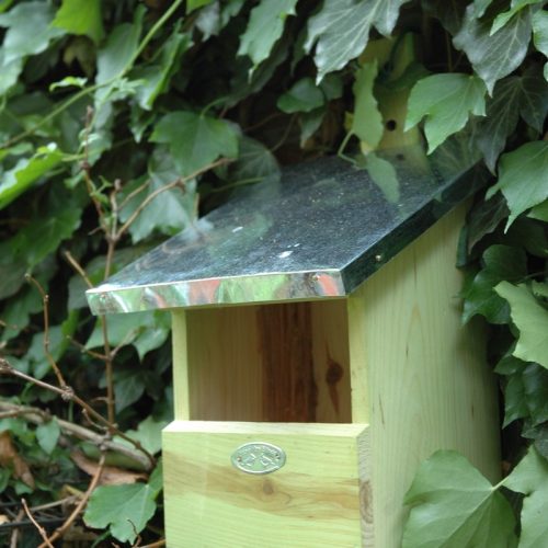 Fa madárház vörösbegynek, 33 cm