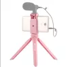 PULUZ mini asztali rózsaszín tripod, állvány mobiltelefon tartóval