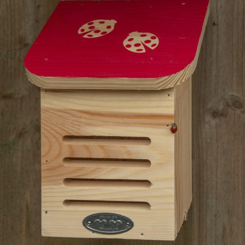 Katicabogár ház piros színű tetővel, katica mintával, 15 x 20 cm