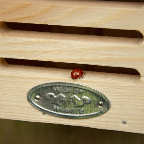 Katicabogár ház piros színű tetővel, katica mintával, 15 x 20 cm